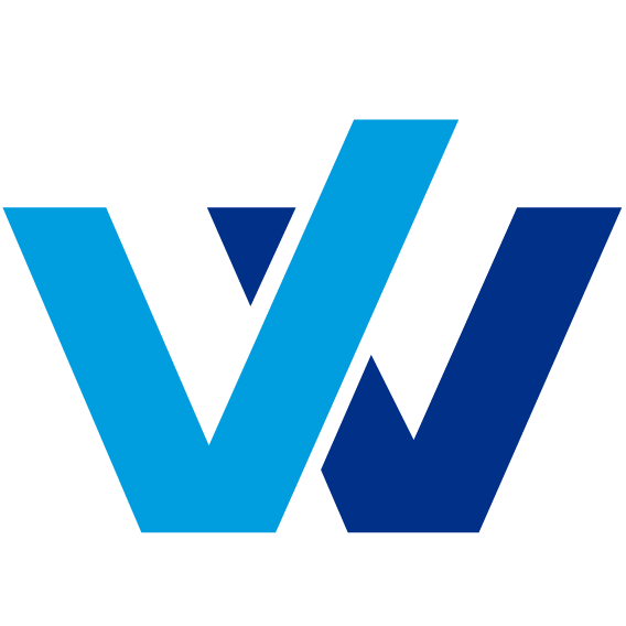 WinToPay独立站全球收单 Logo
