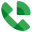 Google Voice Logo